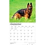 2027 BrownTrout For the Love of German Shepherds 14" x 12" Monthly Wall Calendar, Assorted Colors (9798330709250)~#|#~02DDC714-23B5-4F36-A8B434EC5CDB3106_sc7