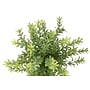 Monarch Specialties Inc. 12" Artificial Mullberry Grass Plant in Pot, 2/Set (I 9360)~#|#~02E6EE30-B7FE-4AAA-A9CE653AE3E9295B_sc7