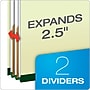 Pendaflex Classification Folder, 2-Dividers, Letter Size, Light Green, 10/Box (17173EE)~#|#~0329CB67-4820-4DDB-BD1E06B4419CB990_sc7