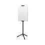 Excello Global Products Blank Indoor/Outdoor Floor Sign, 13" x 86", Black (EGP-HD-0523)~#|#~03376C5F-1C7C-4A78-A1B363DD9B4083C6_sc7