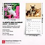 2027 BrownTrout Chihuahua Puppies 7" x 7" Monthly Wall Calendar, Assorted Colors (9798330709960)~#|#~033DE3CB-BD38-4882-BB2002CE111AB757_sc7