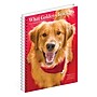 2026 Willow Creek What Goldens Teach Us 6.5" x 8.5" Daily & Monthly Personal Organizer (54680)~#|#~033EF46F-89DE-4B48-B52AB980C305D580_sc7