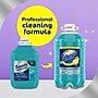 Fabuloso Professional All-Purpose Cleaner and Degreaser, Citrus Fresh Scent, 125 oz. (61051911)~#|#~03496800-1EE6-4B89-B3BBED65F3AC17CD_sc7