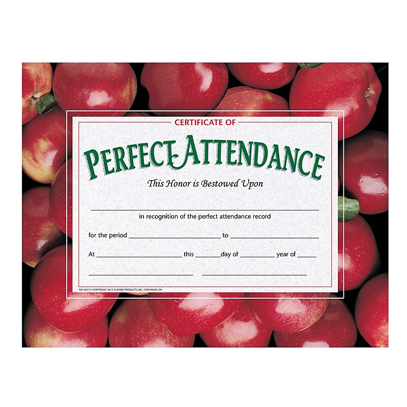 Hayes Certificate of Perfect Attendance, 8.5" x 11", 30 Certificates/Pack, 5 Packs (H-VA513) image 1