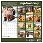 2027 TF Publishing Highland Cows 12" x 12" Monthly Wall Calendar, Multicolored (27-1061)~#|#~0376A281-8F49-4758-932396DF36383250_sc7