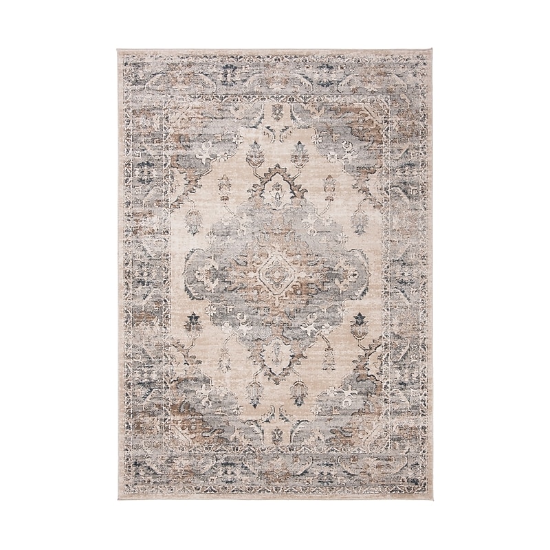 Safavieh Oregon Collection 5' x 7' Rectangle Indoor Area Rug, Machine Made, Beige/Grey (ORE898B-57) image 1