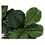 Monarch Specialties Inc. Fiddle-Leaf Fig in Pot (I 9511)~#|#~039DE89A-C7F1-47A7-8ED329FB75EB6058_sc7