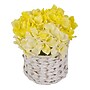 National Tree Company 10" Light Yellow Hydrangea Bouquet in White Basket (MT81-1326GLYW-1)~#|#~039EB8D4-990B-4604-A4119B25ADC277D7_sc7