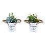 Monarch Specialties Inc. 7" Artificial Succulent Plant in Pot, 2/Set (I 9361)~#|#~03ABA5E9-8020-434B-B319C81E35BC5035_sc7