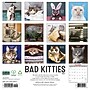 2027 Willow Creek Bad Kitties 12" x 12" Monthly Wall Calendar (58992)~#|#~03BA66B6-DAEC-4061-9CD3473CE61CC1C7_sc7