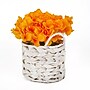 National Tree Company 10" Yellow Hydrangea Bouquet in White Basket (MT81-01326GYW-1)~#|#~03D308E2-9109-429A-AD46255B3C45E09F_sc7