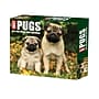 2027 Willow Creek Just Pugs 5.4" x 6.2" Day-to-Day Calendar (63699)~#|#~03F17CA7-36B5-4908-906DF5F53686BED0_sc7
