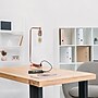 Lalia Home Studio Loft Modern Iron Desk Lamp, 18.8", with USB Port, Polished Rose Gold (LHD-2002-RG)~#|#~04038307-D22B-4E65-8CC7900EA0C8099C_sc7