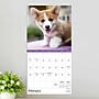 2026 TF Publishing 12" x 17" TF Publishing 7" x 7" Puppies Mini Calendar 26-2007~#|#~042A6467-A606-4558-83D375D546CC04BF_sc7