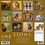 2026 Willow Creek Lions 12" x 12" Monthly Wall Calendar (55915)~#|#~043B0B4F-C26E-4597-B7590208CACBF4E5_sc7