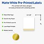 Avery Laser/Inkjet Rectangle Multipurpose Labels, 4" x 3-1/3", White, 40/Pack (S00EWT)~#|#~04405E52-C03A-457E-AAF24D6E4FABDF30_sc7