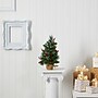Nearly Natural Mixed Pine Artificial Christmas Tree, 18" (T1696)~#|#~04537401-6441-4BA3-B4687D4CBA56479F_sc7