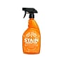 Angry Orange Enzyme Stain and Odor Remover, Orange Twist Scent, 24 fl. oz. (AORCITRUS24OZFG)~#|#~046260B3-B79C-477A-8A26042CAE476A13_sc7