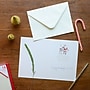 DesignWorks Ink Santa's Reindeer Holiday Cards, 5 x 7, Assorted Colors (THC57-109ST)~#|#~046F2D12-8A15-4BD8-871EFAD281B1C6B8_sc7