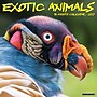 2027 Willow Creek Exotic Animals  12" x 12" Monthly Wall Calendar (60148)~#|#~047ABEFC-2F06-4BB0-9E23C704335C9DF9_sc7