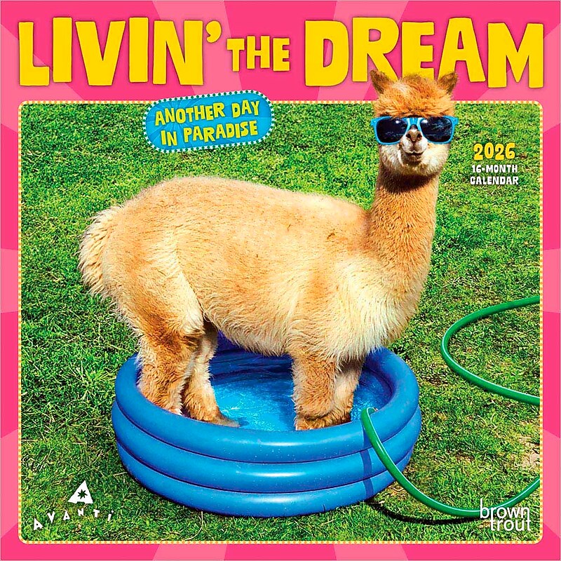 2026 BrownTrout Avanti Livin' the Dream 7" x 7" Monthly Wall Calendar (9798330707966) image 1