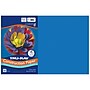 Tru-Ray 12" x 18" Construction Paper, Blue, 50 Sheets/Pack, 5 Packs/Bundle (PAC103054-5)~#|#~04B3722E-37F9-465F-85E5767AF5F3AA44_sc7