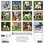 2027 Willow Creek Dalmatians  12" x 12" Monthly Wall Calendar (59975)~#|#~04BF2E4C-97B7-4437-A7EBF6BB2B4D74BA_sc7