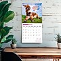 2026 BrownTrout Jackasses 12" x 12" Monthly Wall Calendar (9798330703982)~#|#~04C5689B-1BCD-4328-9B793E1733E351B7_sc7