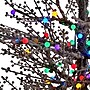 Nearly Natural 5-ft Frosted Berry Twig Artificial Christmas Tree with 200 Multicolored Gum Ball LED Lights (T1564)~#|#~04C821D4-2393-401C-854EFE53E66C637C_sc7