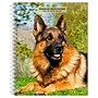 2027 BrownTrout German Shepherds 6.5" x 7.8" Calendar Year Weekly Standard Planner, Multicolor (9798330709496~#|#~04F00733-E329-4F5A-AA29FB9427A70D64_sc7