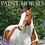 2027 Willow Creek Paint Horses 12" x 12" Monthly Wall Calendar, Assorted Colors (61695)~#|#~04F116C4-B3DC-4B7F-9DCCA92701073A46_sc7