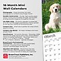 2026 BrownTrout Golden Retriever Puppies 7" x 7" Monthly Wall Calendar (9798330703456)~#|#~051A10C1-650F-4F63-BD6FC85E27CF2C23_sc7