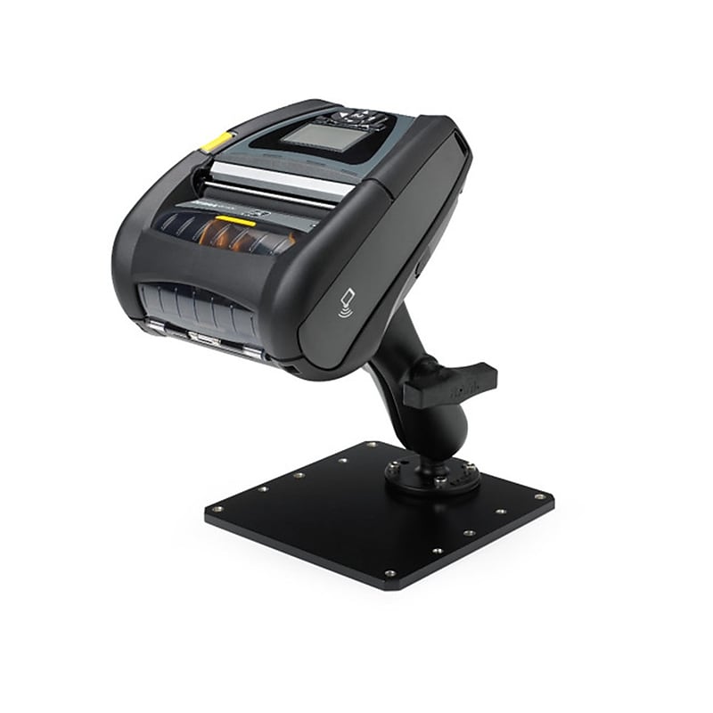 Zebra Stand (P1050667-032) image 1