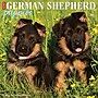2026 Willow Creek German Shepherd Puppies 12" x 12" Monthly Wall Calendar (51221)~#|#~053940E1-CF8E-44A2-887EBCA2AD538535_sc7