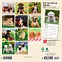 2026 BrownTrout For the Love of Puppies 7" x 7" Monthly Wall Calendar (9798330705252)~#|#~054168FD-ABCE-4494-838C4556826F272F_sc7