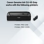 Canon 65 GY Gray Standard Yield Ink Cartridge (4219C002)~#|#~054C3676-961C-458D-B9DE7AD3321EB2C9_sc7