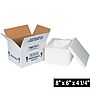 8" x 6" x 4.25" Insulated Shipper Box, White (204C)~#|#~054F1886-6747-4EDB-93223110FFB04CB3_sc7