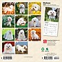 2026 BrownTrout Maltese 7" x 7" Monthly Wall Calendar (9798330704507)~#|#~056CE4CE-98AF-4E8C-9DEDFD241C896645_sc7