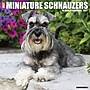 2027 Willow Creek Miniature Schnauzers 12" x 12" Monthly Wall Calendar, Assorted Colors (61220)~#|#~05838C0A-6601-4343-B22E993B3552F175_sc7