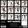 2026 Willow Creek Mutt Mashups 12" x 12" Monthly Wall Calendar (55984)~#|#~058C2D44-960B-40E0-BCB86DB776F39609_sc7