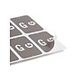 Smead® Alpha-Z Color-Coded Second Letter "G" Labels, 10 Labels Per Sheet, Gray, 1"H x 1 5/8"W, 100 Labels/Pk~#|#~058D246A-A381-40E8-8B6CA351D2E5B65E_sc7