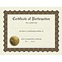 Great Papers! Certificate of Participation, 8.5" x 11", Multicolored, 6/Pack (930800)~#|#~059F2430-5A81-4304-8CA0C7851DD83B65_sc7