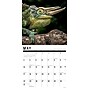 2026 Willow Creek Scales 12" x 12" Monthly Wall Calendar (56110)~#|#~05A64FF3-EECB-4B85-B70F88A31CF07C20_sc7