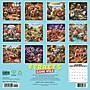 2027 Willow Creek Ferrets Gone Wild   12" x 12" Monthly Wall Calendar (65242)~#|#~05B4E246-EC37-4B17-AAAD0208DDDAD241_sc7
