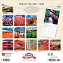 2026 BrownTrout Utah Wild & Scenic 12" x 12" Monthly Wall Calendar (9798330706082)~#|#~05B76111-1A57-496C-91473CCF67DB970A_sc7