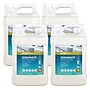 ECOS PRO Dishmate Manual Dish Soap, Free and Clear, 1 Gallon, 4/Carton (EOPPL972104)~#|#~05BA6309-F8E6-4206-913407B3E86DF06A_sc7