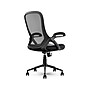 Click365 Ergonomic Fabric/Mesh Swivel Task Chair, Black (CCHR10003A)~#|#~05C5C6CB-6F3D-4D59-B2A520A2ACD75262_sc7