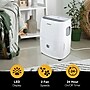 Whirlpool 30-Pint Portable Dehumidifier, 2-Speed, Covers up to 3000 sq. ft., White (WHAD301DW)~#|#~05DE8B51-167D-467F-A2DA7CF1122FA557_sc7
