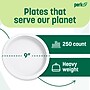 Perk™ Eco Compostable Paper Plates, 9", White, 250/Pack (PK61287)~#|#~05FA9827-AC92-410F-8C942FBA52B9D090_sc7