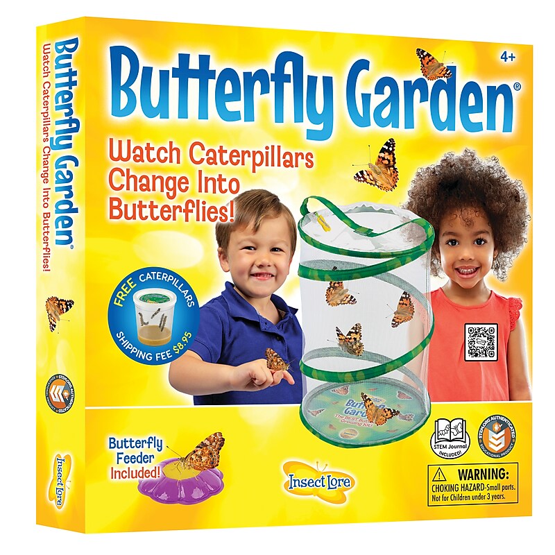 Insect Lore Products Animal Study, Live Butterfly Garden Kit (ILP1010) image 1